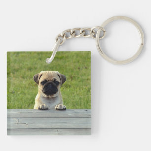 Porte-clefs Chiots Carlin