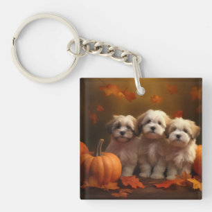 Porte-clefs Chiots Havanais Délice d'Automne Citrouille