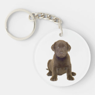 Porte-clefs Chiots Labrador au Chocolat