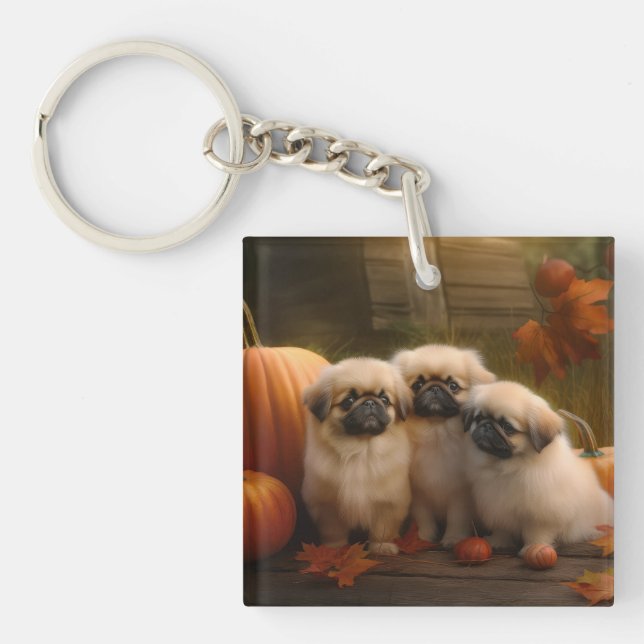 Porte-clefs Chiots Pékinois Délice d'Automne Citrouille  (Devant)