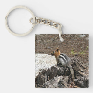 Porte-clefs Chipmunk à Yosemite, Californie