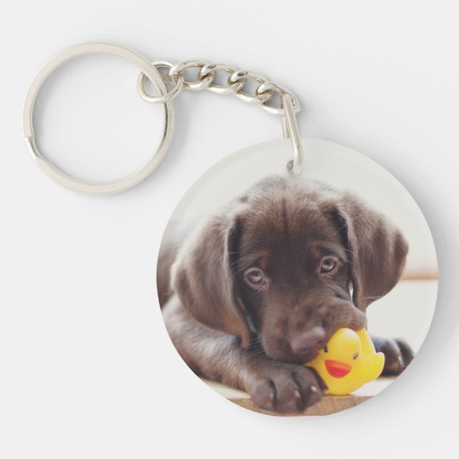 Porte-clefs Chocolat Labrador Puppy With Toy Duck (Devant)