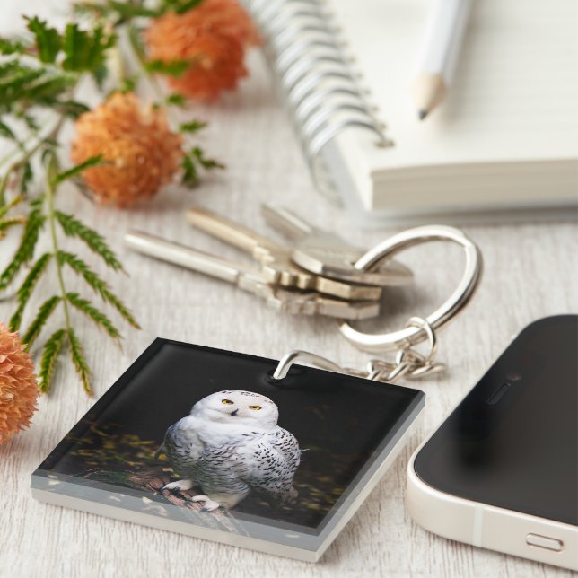 Porte-clefs Chouette hivernale majestueuse (Devant Droit)