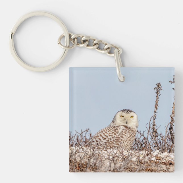 Porte-clefs Chouette neige assise sur la plage (Devant)