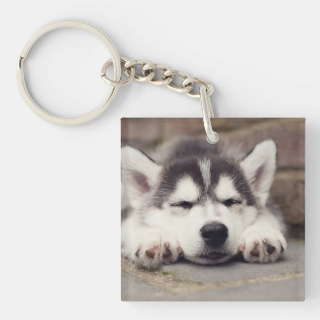 Porte-clefs Chuppy Husky Sleeping (Devant)