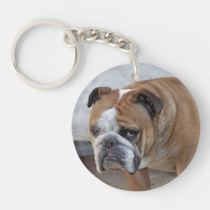 Porte-clefs Clé acrylique Bulldog Anglais Ring / Clé de chie
