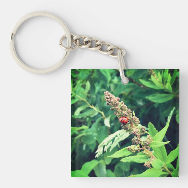 Porte-clefs Coccinelle au printemps (Devant)