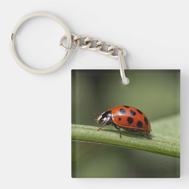 Porte-clefs Coccinelle Insecte (Devant)