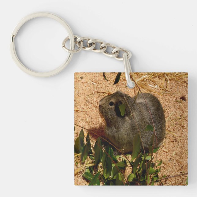Porte-clefs Cochon de Guinée Brown, en douceur, (Devant)