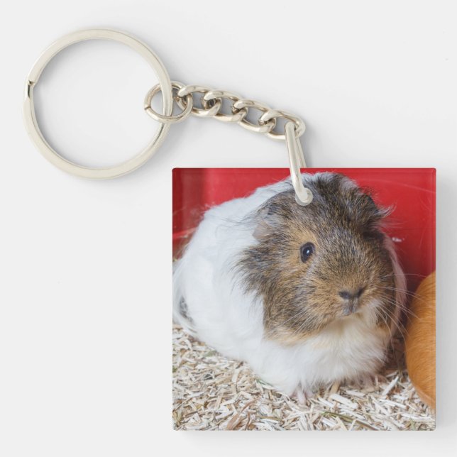 Porte-clefs Cochon de Guinée dans une cage (Devant)