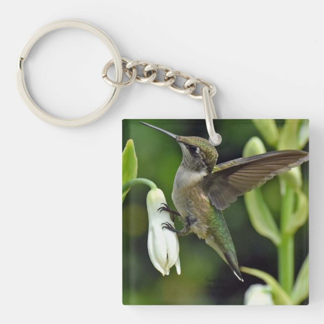Porte-clefs Colibri (Devant)