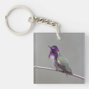 Porte-clefs Colibri de Costa