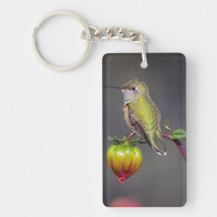 Porte-clefs Colibri posé sur un bouton de fleur