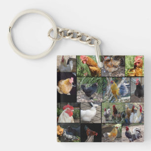 Porte-clefs Collage De Photos De Poulets Et De Coqs,