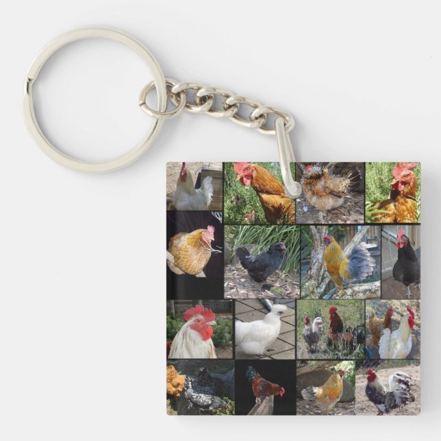 Porte-clefs Collage De Photos De Poulets Et De Coqs, (Devant)