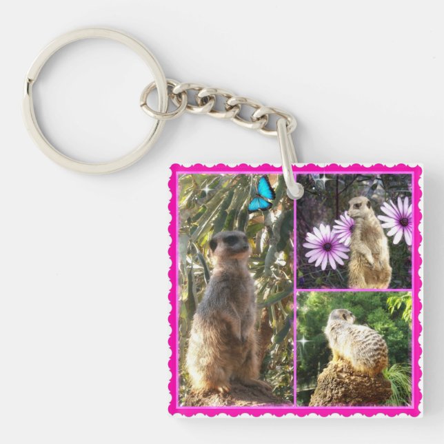 Porte-clefs Collage photo de trois Meerkat, Clavier (Devant)