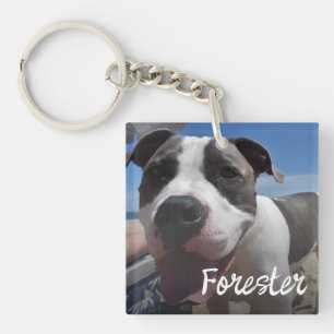 Porte-clefs Collage photo simple de photo d'animal de compagni