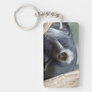 Porte-clefs Colobus polykomos