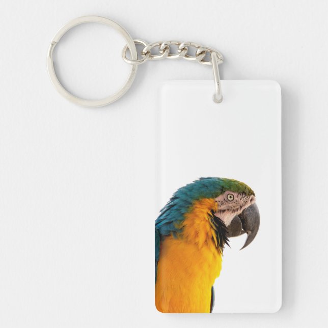 Porte-clefs coloful Parrot  (Devant)