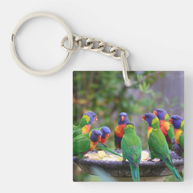 Porte-clefs Colorful Rainbow Lorikeet Parrots Eating (Devant)