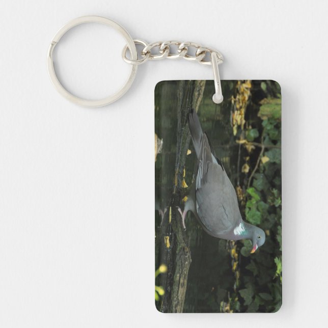 Porte-clefs Columba palumbus (Devant)