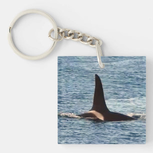 Porte-clefs Communauté personnalisable Aquarius Orca Côte Oues