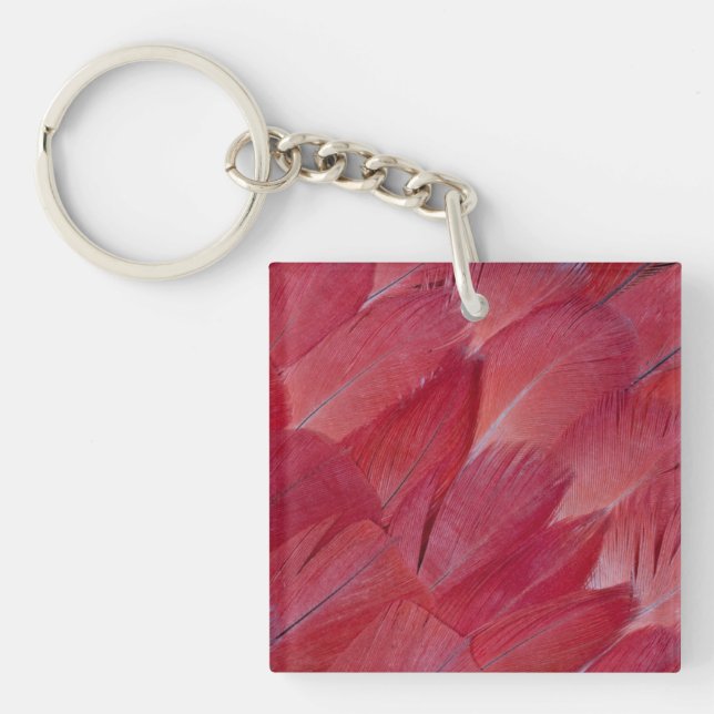Porte-clefs Conception de plume de perroquet gris africain (Devant)