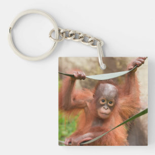 Porte-clefs Connexion bébé orang-outan