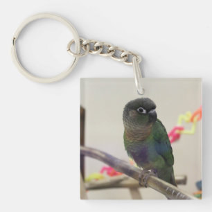 Porte-clefs Conure