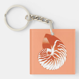 Porte-clefs Coquille de Nautilus - terre cuite et blanc