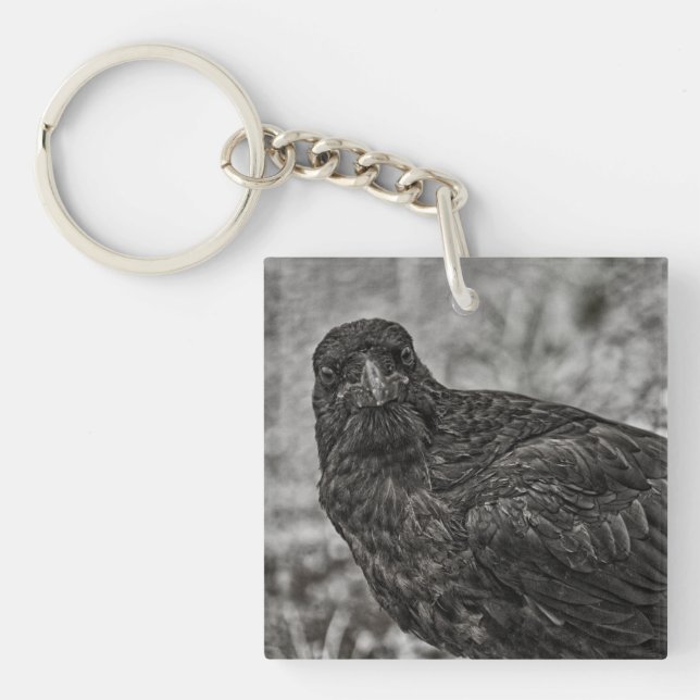 Porte-clefs Corbeau P9239 (Devant)