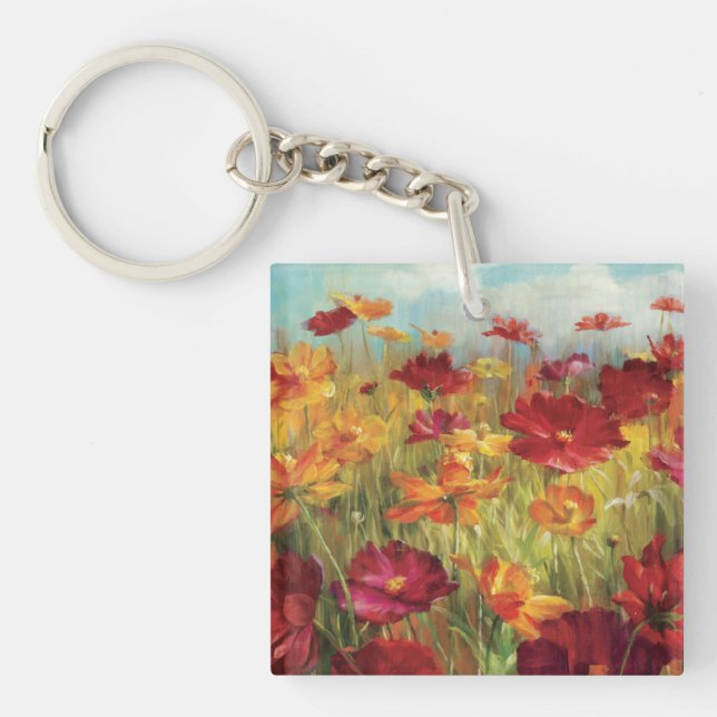 Porte-clefs Cosmos dans le domaine (Devant)
