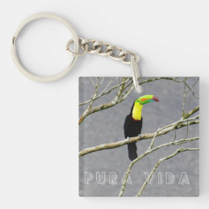 Porte-clefs Costa Rica Souvenir Toucan