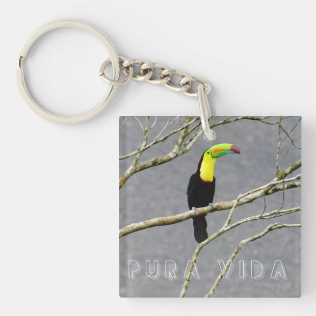 Porte-clefs Costa Rica Souvenir Toucan  (Devant)