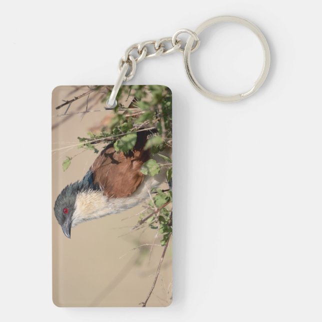 Porte-clefs Coucal de Burchell (Dos)