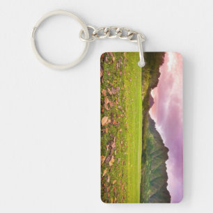 Porte-clefs Coucher du soleil jurassique