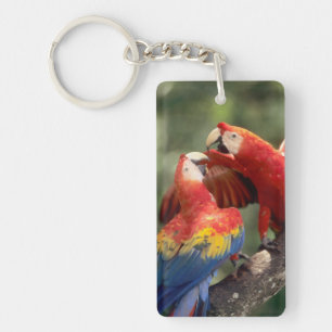 Porte-clefs Couple d'Ara rouge