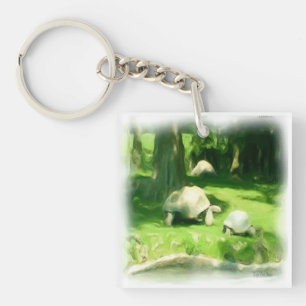 Porte-clefs Course de tortues