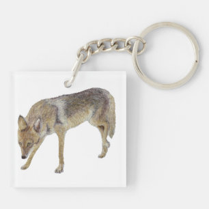 Porte-clefs Coyote