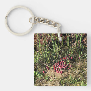 Porte-clefs Cranberry Farm, Long Beach, Washington