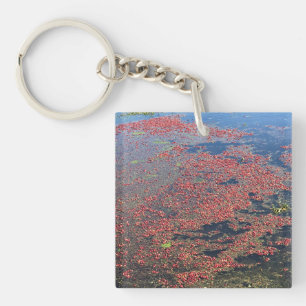 Porte-clefs Cranberry Farm, Long Beach, Washington