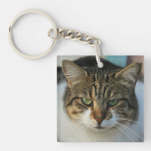 Porte-clefs Créez Votre Propre Photo de Compagnon à Quatre Pat
