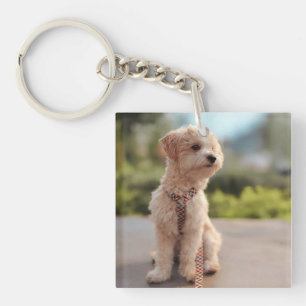 Porte-clefs Créez Votre Propre Photo de Compagnon à Quatre Pat