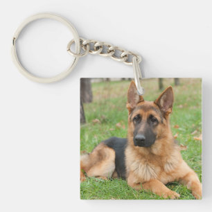 Porte-clefs Créez Votre Propre Photo de Compagnon à Quatre Pat