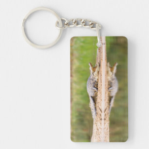 Porte-clefs Crocodile