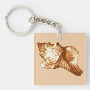 Porte-clefs Croquis en coquille de cône - brun, blanc et bronz