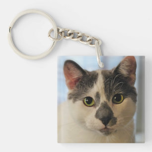 Porte-clefs Cute chat