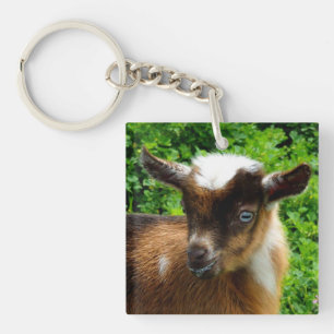 Porte-clefs Cute chèvre laitière naine nigériane enfant