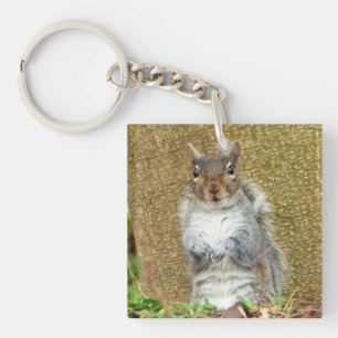 Porte-clefs Cute écureuil