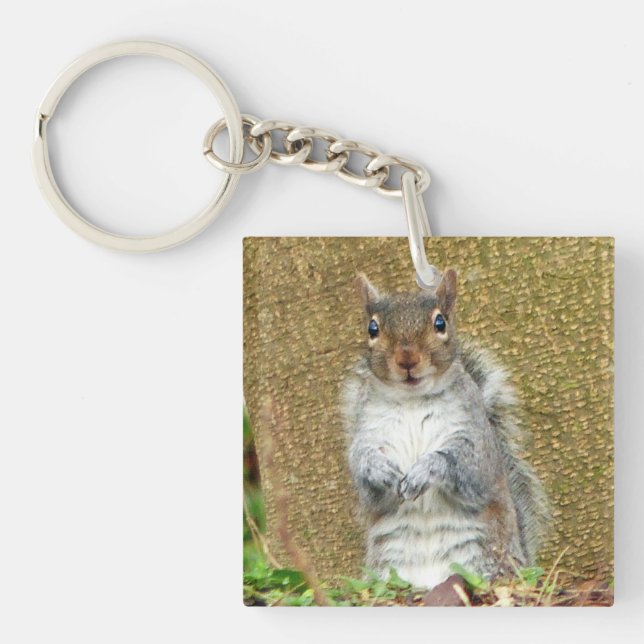 Porte-clefs Cute écureuil (Devant)